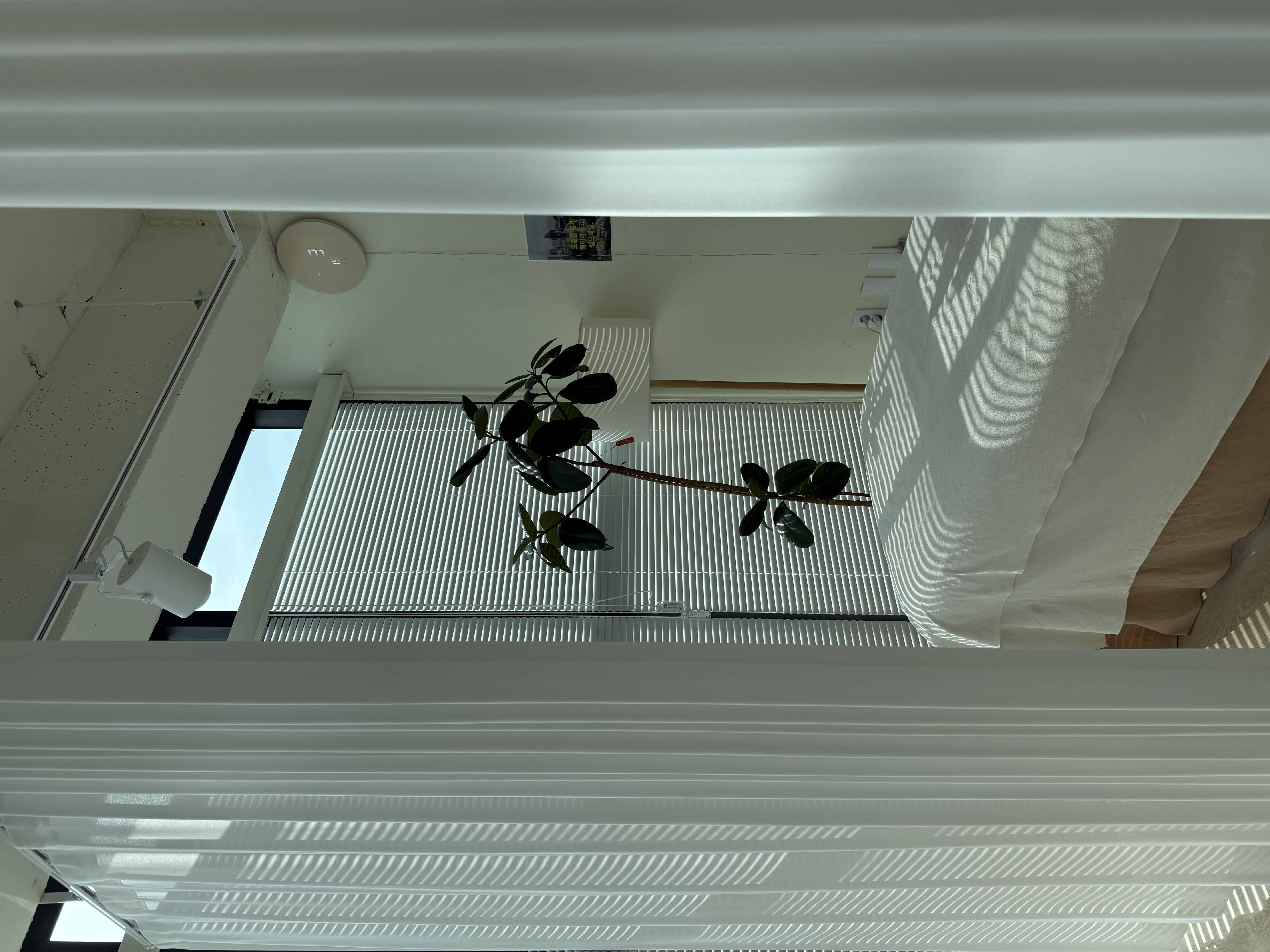 숨쉼제니 공간 10